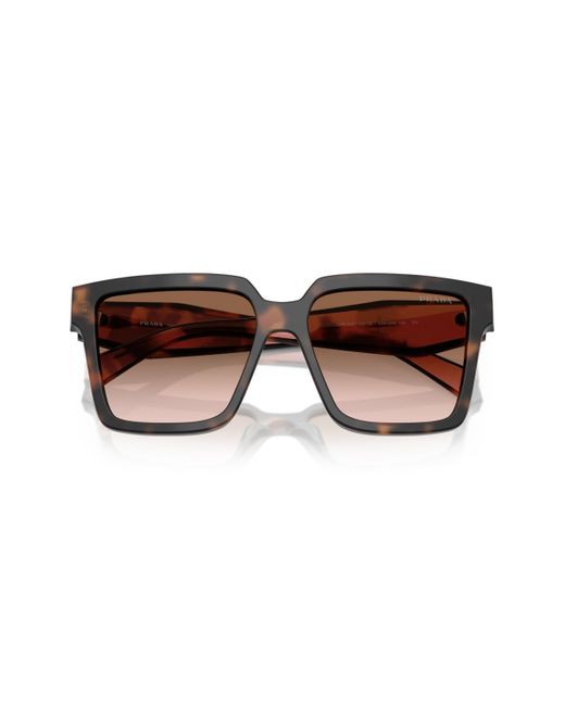 Prada Brown Large Sunglasses