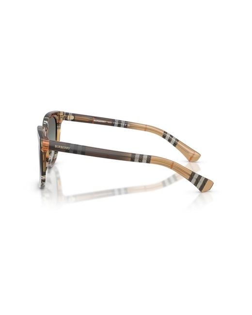 Burberry Multicolor Round Sunglasses