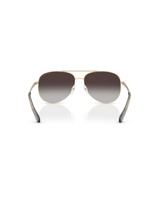 Michael Kors Brown Pilot Sunglasses