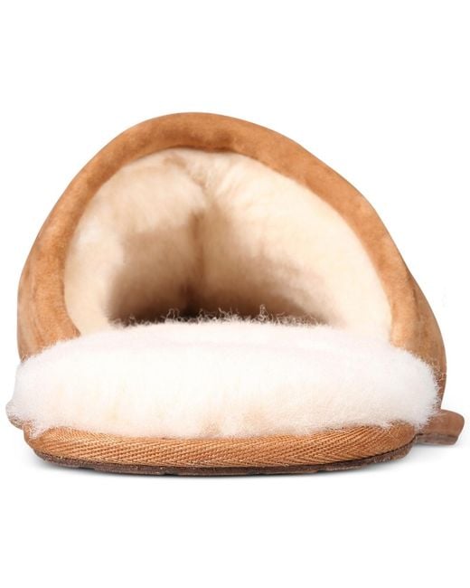 Ugg Brown Scuff Slippers for men