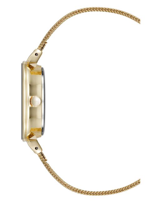 Anne Klein Metallic Quartz Premium Round Stainless Steel Mesh Watch