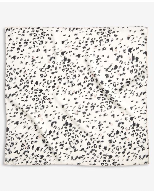 On 34th White Leopard-print Scarf