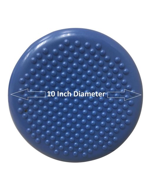 Bintiva Purple Small Active wiggle Cushion