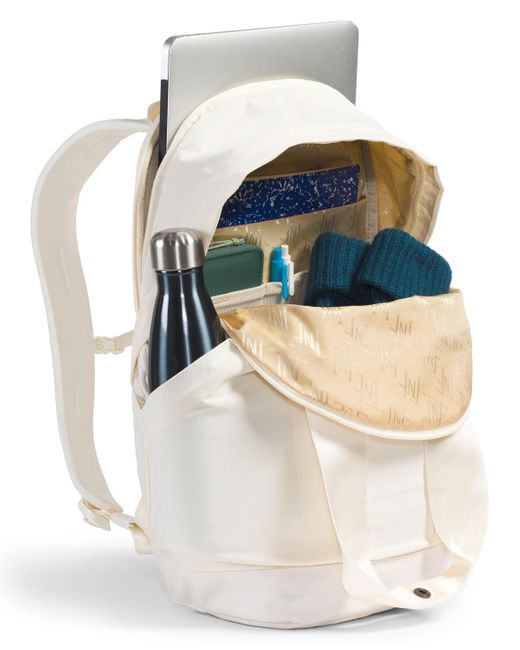 The North Face Natural Never Stop Stand-up Daypack