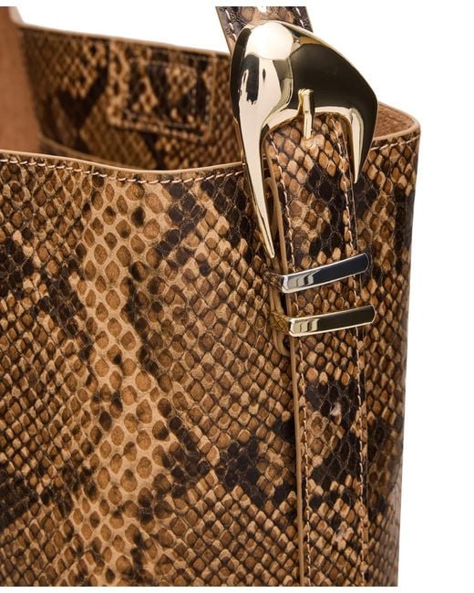 Steve Madden Brown Bdenise Small Bucket Bag