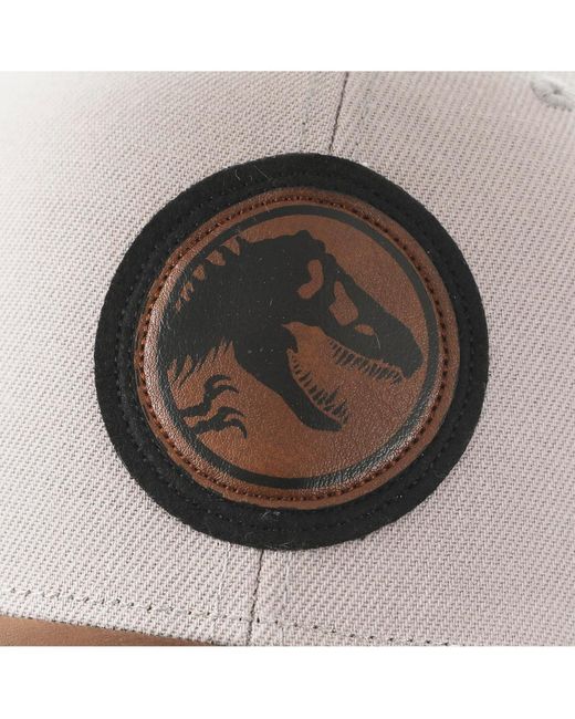 Jurassic Park Gray Logo Woven Patch White Snapback Hat for men