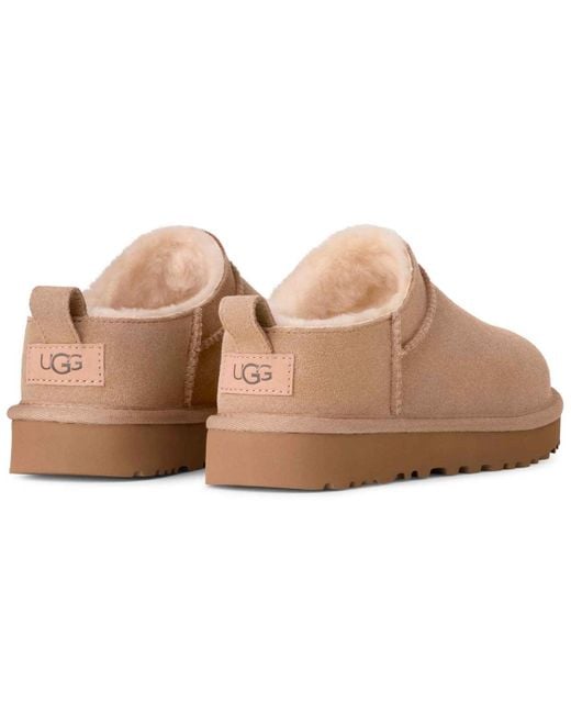 Ugg Brown Classic Micro Pull Tab Booties