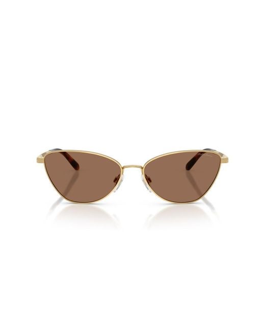 Ralph Lauren Brown Rectangle Sunglasses