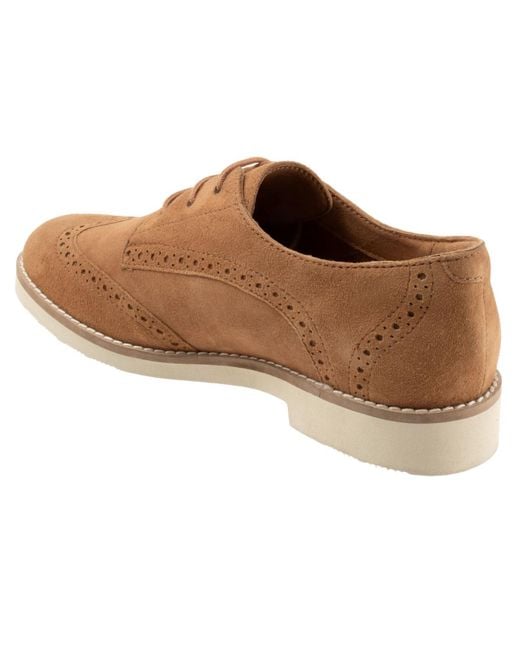 Softwalk® Brown Willet Flat