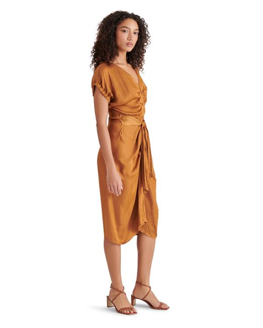 Steve Madden Multicolor Bruno Tie-waist Button-front Dress