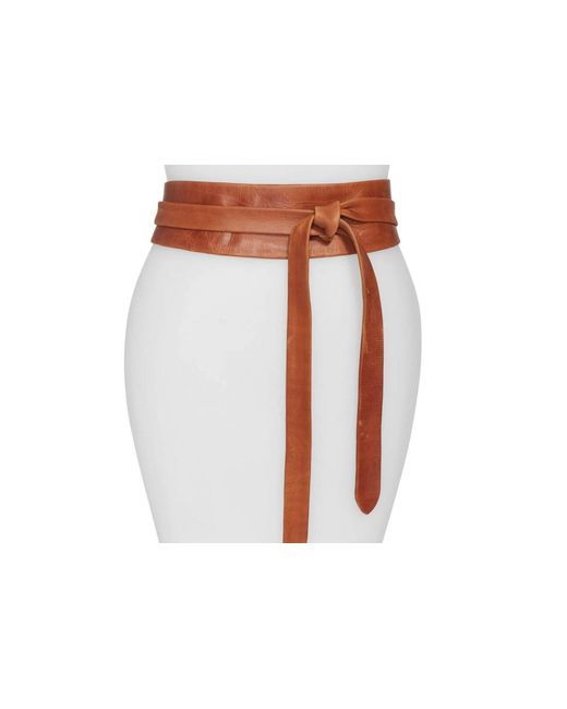 Ada Multicolor Classic Wrap Belt Plus Size