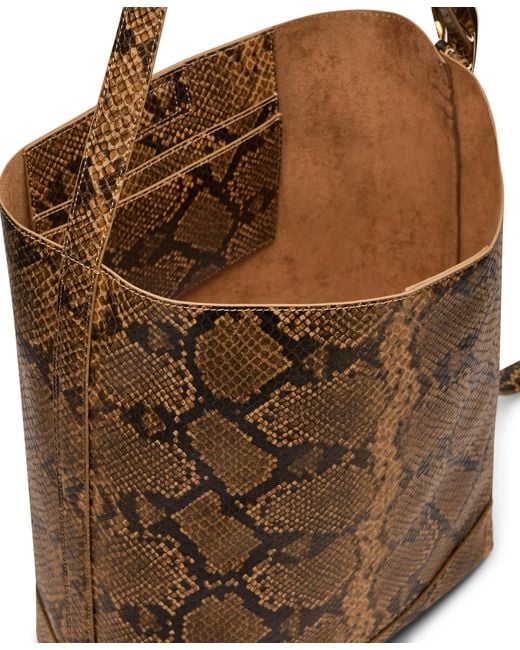Steve Madden Brown Bdenise Small Bucket Bag