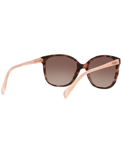 Prada Brown Sunglasses, Conceptual