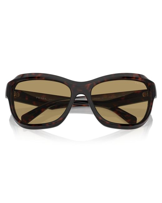 Prada Brown Swing Butterfly Sunglasses
