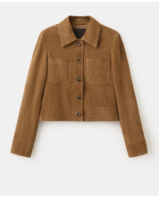 Mango Brown Buttons Suede Jacket