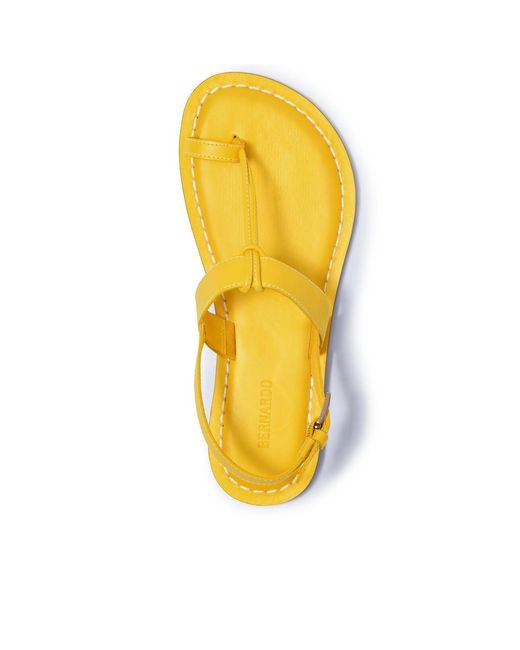 Bernardo Yellow Bernardo Maverick 2 Toe Ring Sandal