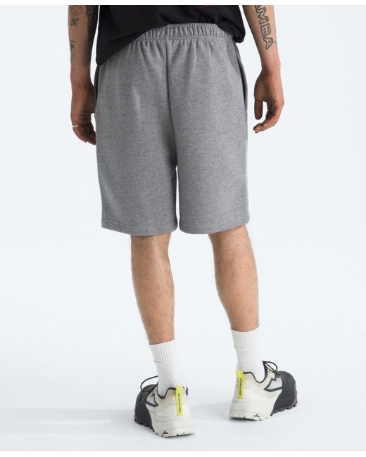 The North Face Gray Evolution Simple Dome Shorts for men