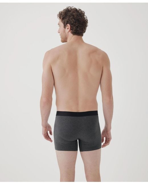 Pact Natural Organic Cotton Everyday Boxer Brief 4-pack for men