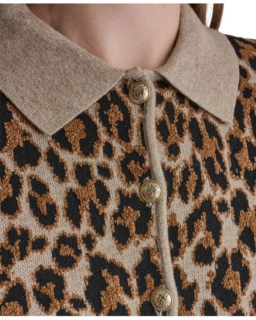 BCBGMAXAZRIA Brown Leopard-print Button-front Fitted Cardigan