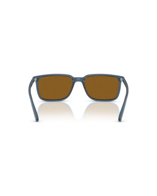 Arnette Natural Polarized Dinsky Sunglasses for men