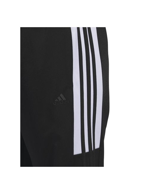 Adidas Gray Essentials Colorblocked Tricot Shorts for men
