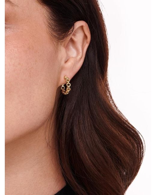 DEVATA Metallic Cable Link Hoop Earrings