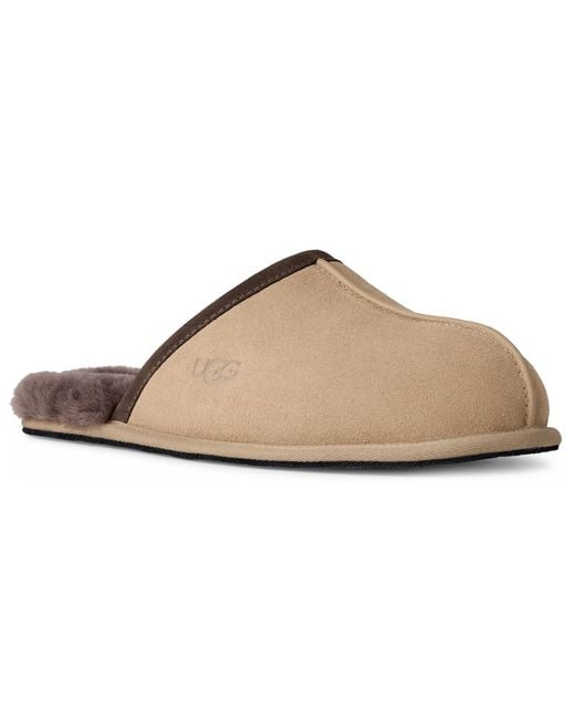 Ugg Brown Scuff Slippers for men