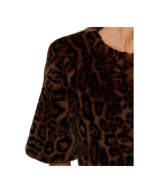 Adrianna Papell Brown Leopard Print Crewneck Jacket