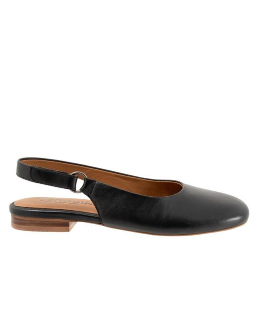 Softwalk® Brown Katy Flat