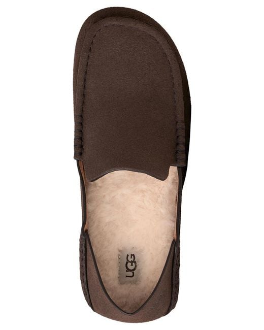 Ugg Brown Eldrie Slip-on Loafers