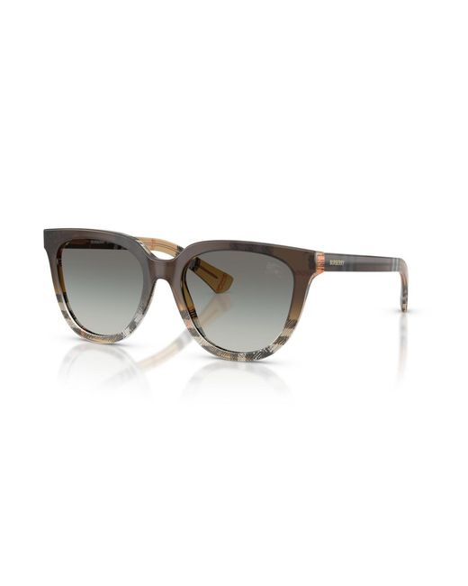 Burberry Multicolor Round Sunglasses