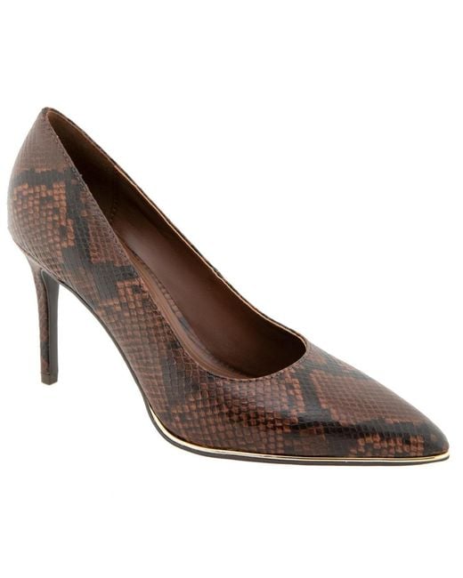 BCBGeneration Brown Bixxo Pointed Toe Pump