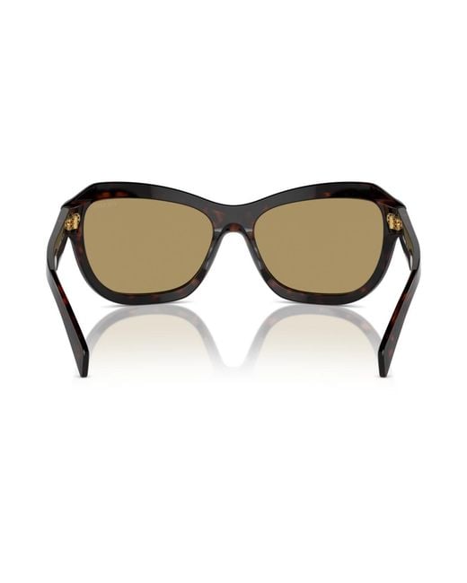 Prada Brown Swing Butterfly Sunglasses