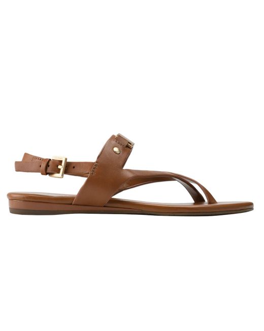calvin klein women's sadra ankle strap flat sandals
