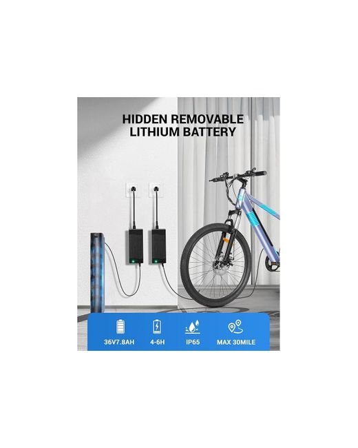 Multijoy Black Electric Bike For S