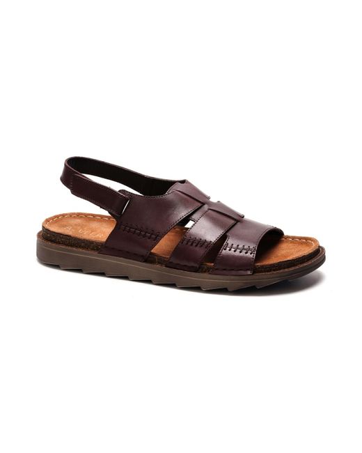A. Veer Brown Maldiva Back Strap Sandals for men