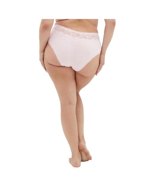 City Chic Pink Plus Size Iris 3 Pack Cotton Cheeky Panty