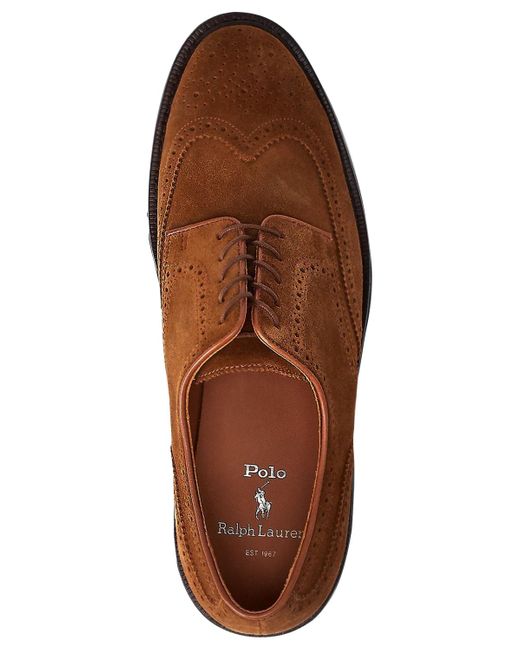Polo Ralph Lauren Brown Asher Lace-up Wingtip Shoes for men