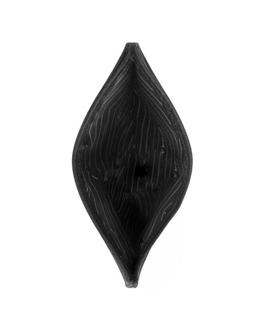 CHAMPS Black Classic Collection Leather Wallets for men