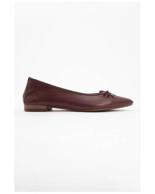 Forever & Always Shoes Brown Ruby Leather Pointed Toe Flats