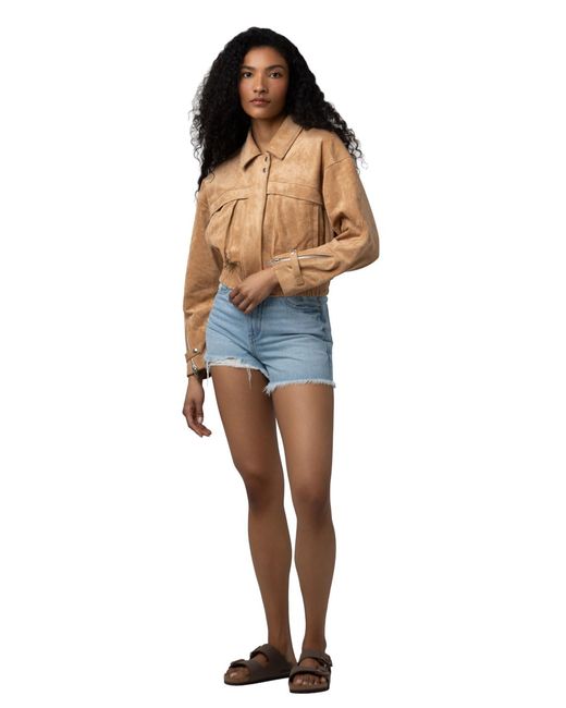 Blank NYC Blue Collared Neck Jacket