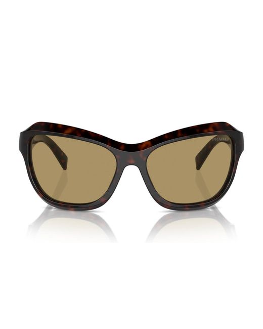 Prada Brown Swing Butterfly Sunglasses