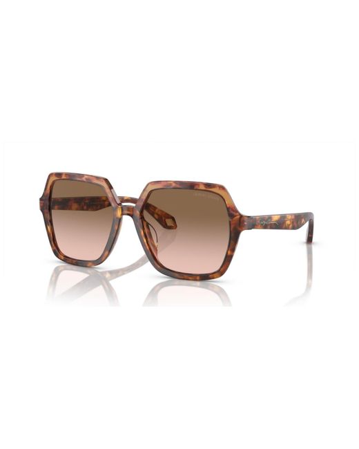 chloe rosie sunglasses