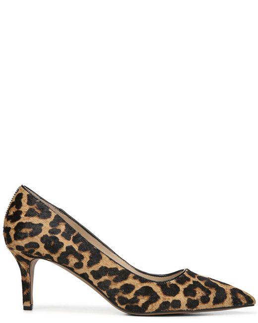 franco sarto tudor 2