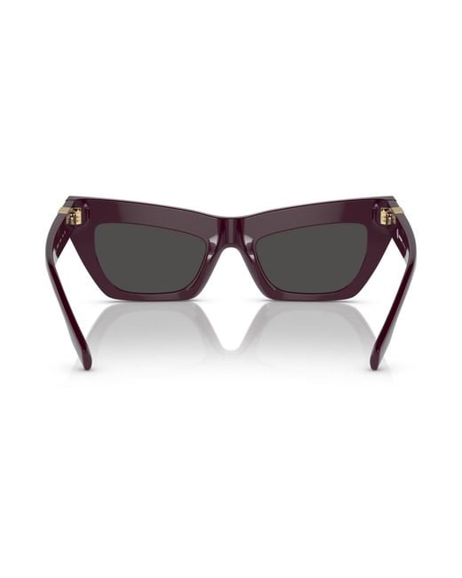 Burberry Brown Sunglasses Be4405