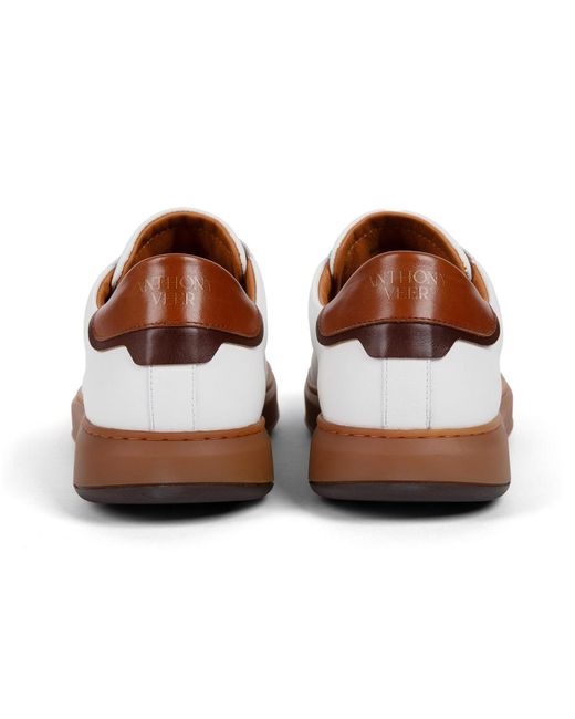 Anthony Veer White Paul Sneaker for men