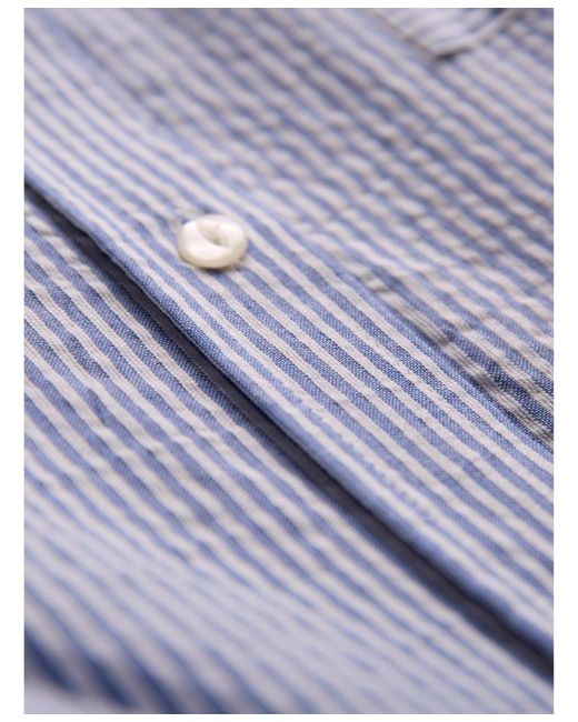 Celtic & Co. Purple Side Split Striped Shirt
