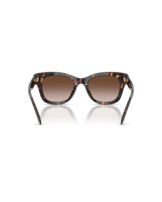 Tory Burch Brown Square Sunglasses