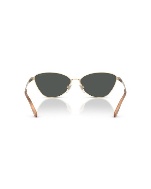 Ralph Lauren Multicolor Rectangle Sunglasses