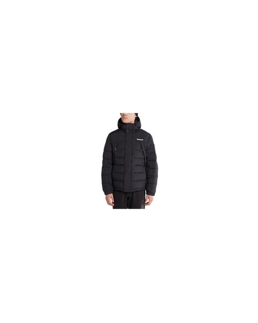 Timberland Synthetic Mens Dwr Outdoor Archive Puffer Jacket in Black for  Men | Lyst